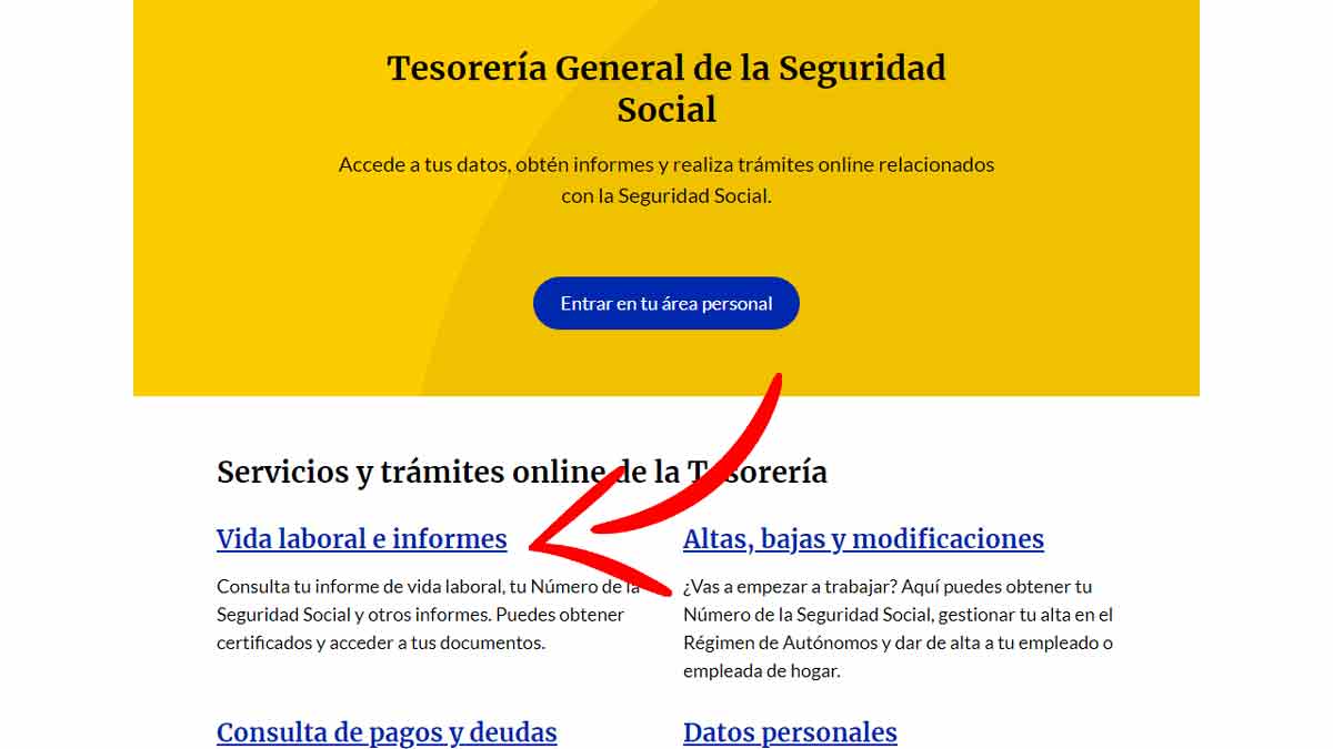 Acceder a informes de vida laboral