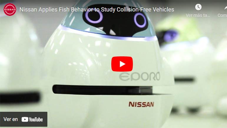 Video explicativo sobre cómo Nissan estudia el movimiento de las abejas