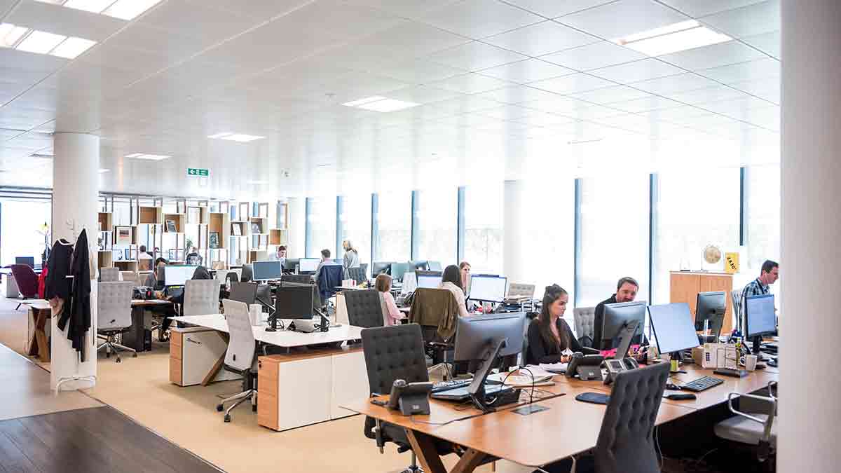 Guía para opositar a auxiliar administrativo: sueldos, temario y exámenes