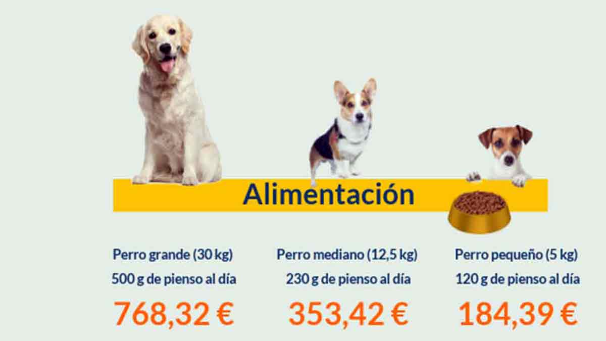 Alimentación perros