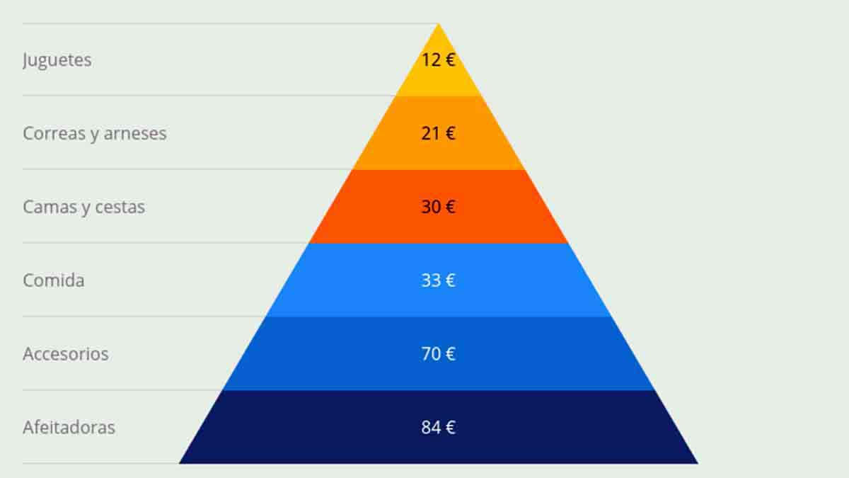 pirámide gasto medio