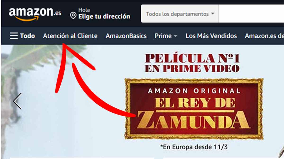 Acceso desde la web al contacto con Amazon