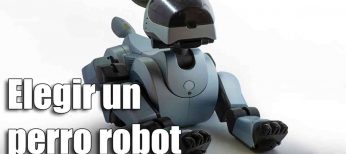 Cómo elegir el mejor perro robot, características y precios