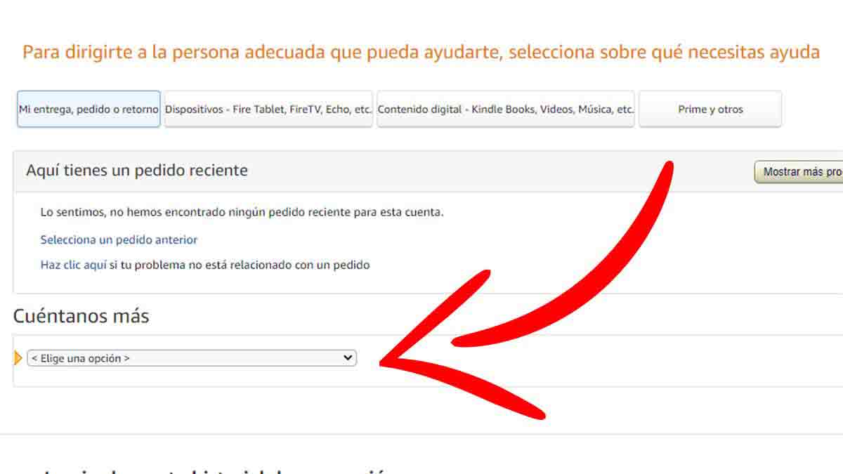 Especificar el motivo de la consulta con Amazon