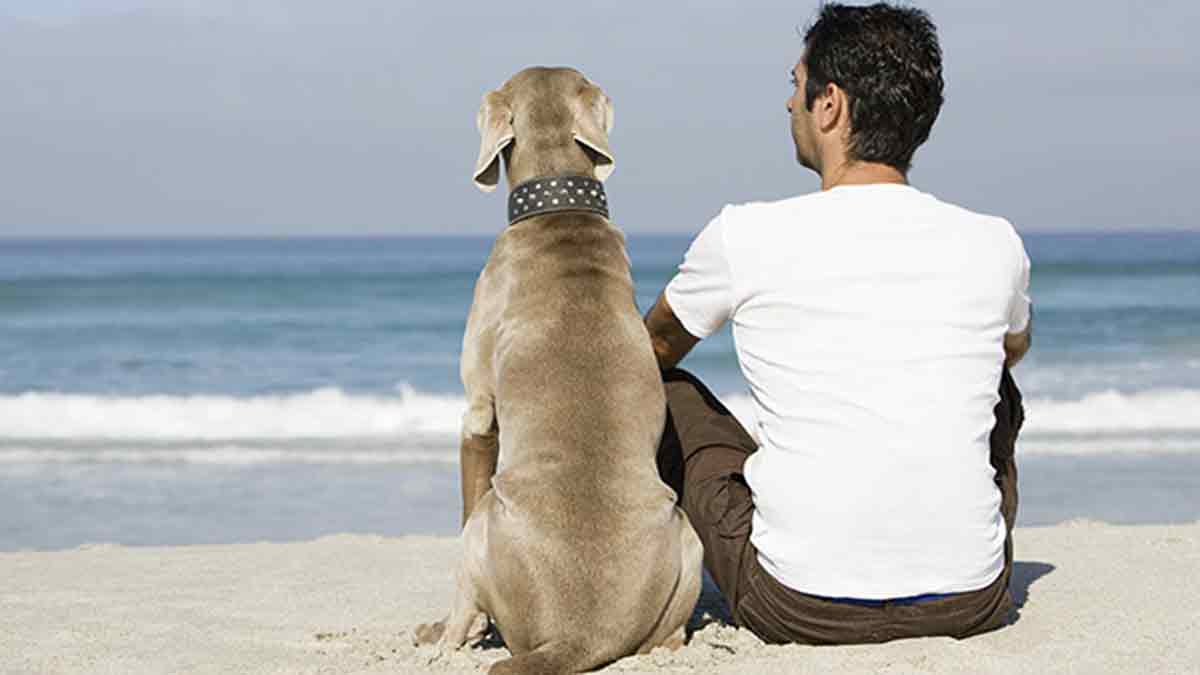 Ir a la playa con un perro