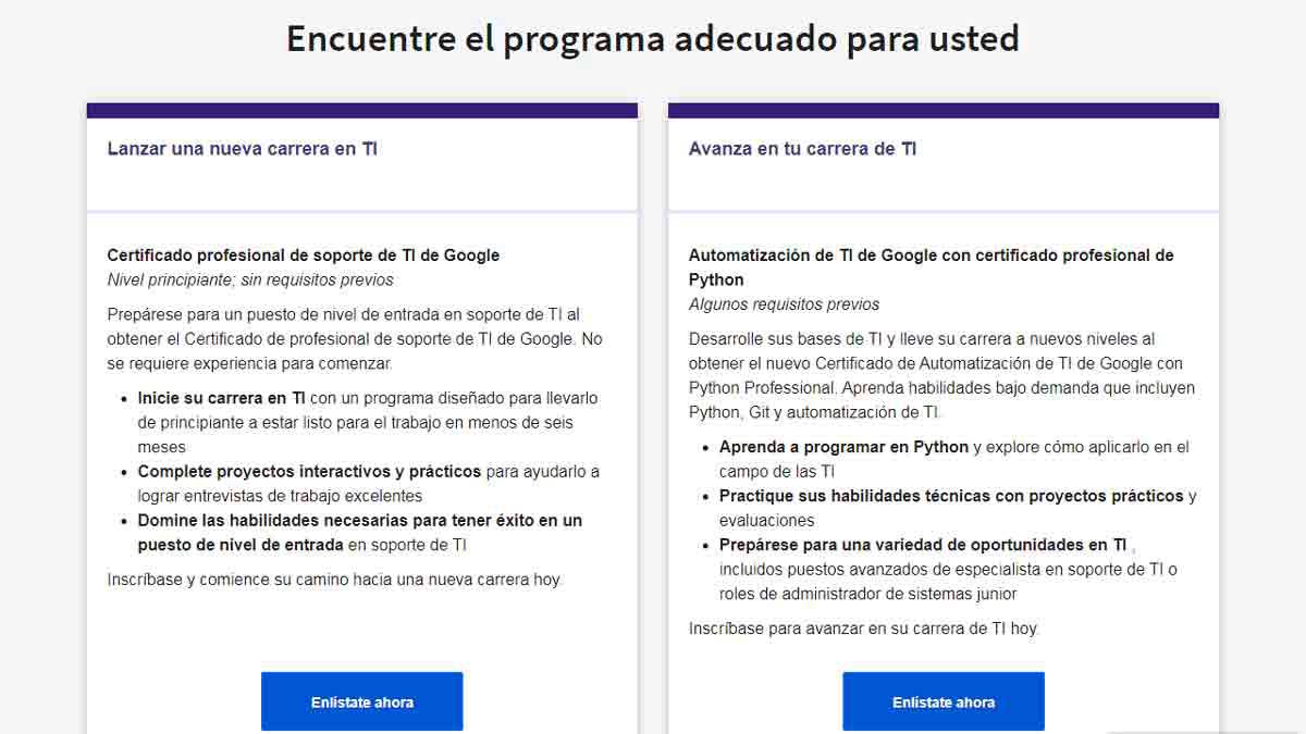 Tipos de programas y niveles de los cursos de google