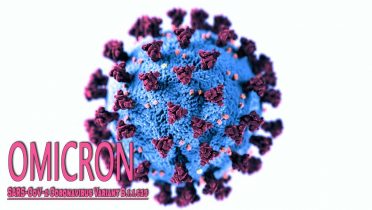 Variante Omicron del SARS-CoV-2 Coronavirus B.1.1.529