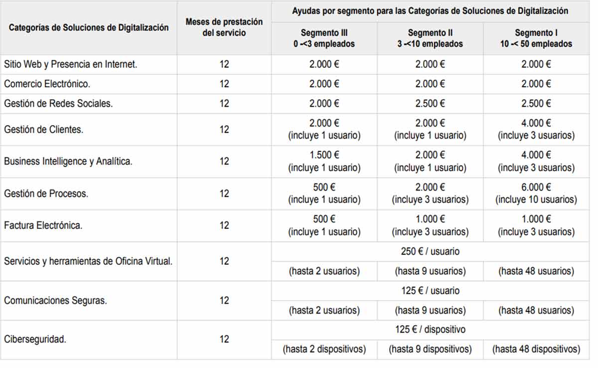 Partidas de ayuda por cada segmento del kit digital