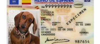 DNI-Animal, el nuevo documento de identidad obligatorio para perros y gatos