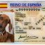 DNI-Animal, el nuevo documento de identidad obligatorio para perros y gatos