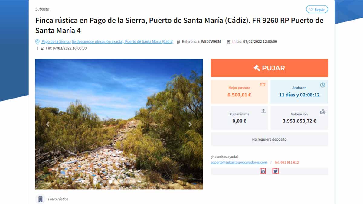 Ejemplo de subasta de finca