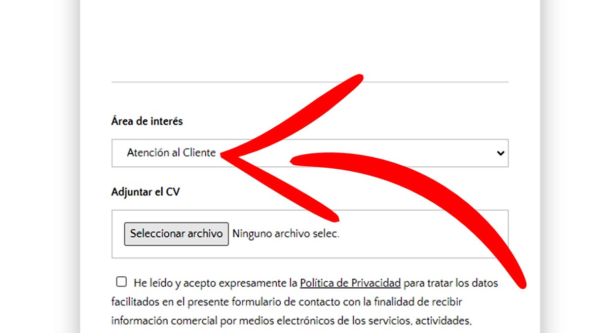 Áreas de interés para trabajar en SolarProfit