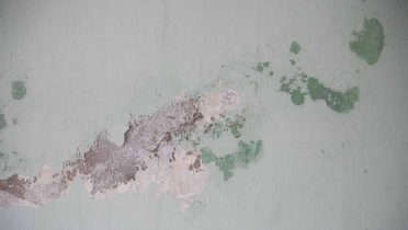 Como quitar el moho de la pared, trucos y remedios naturales