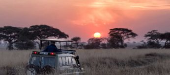 Viaje a Sudáfrica para ver sus parajes naturales.