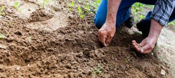 Cómo pedir y cobrar el subsidio de Renta Agraria