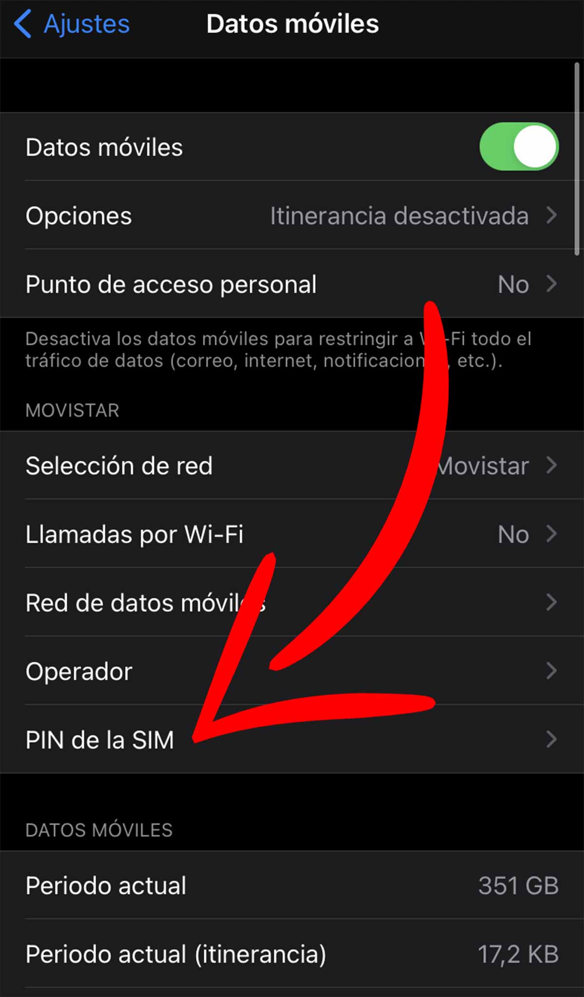 Pestaña Pin de la SIM en iPhone