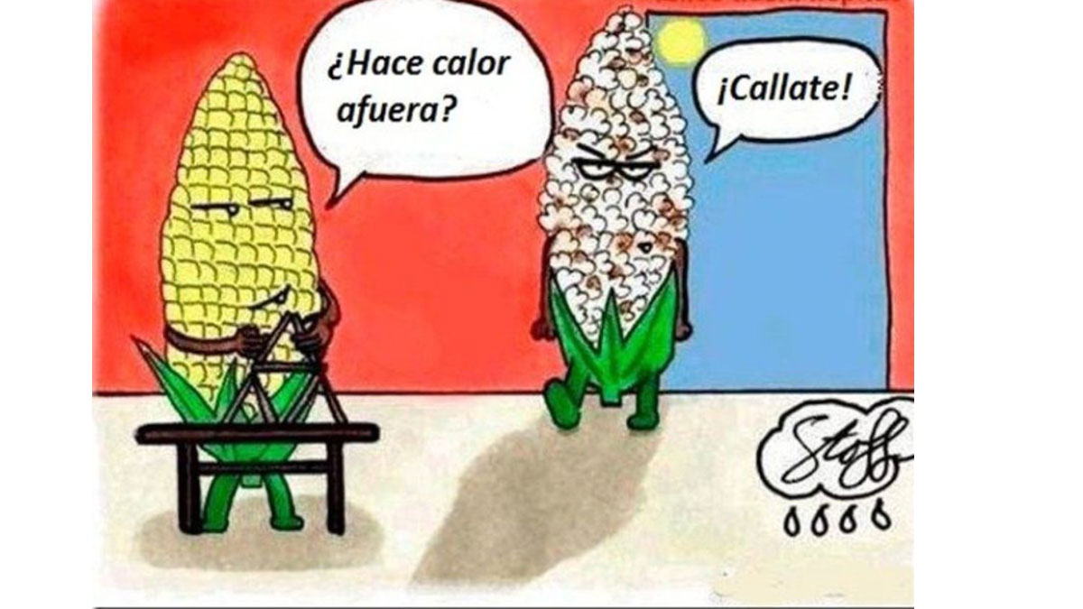 Meme de la mazorca de maíz en la ola de calor