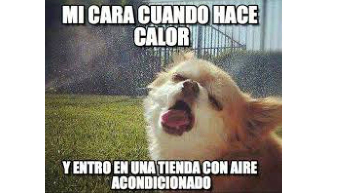 Aire acondicionado meme ola de calor