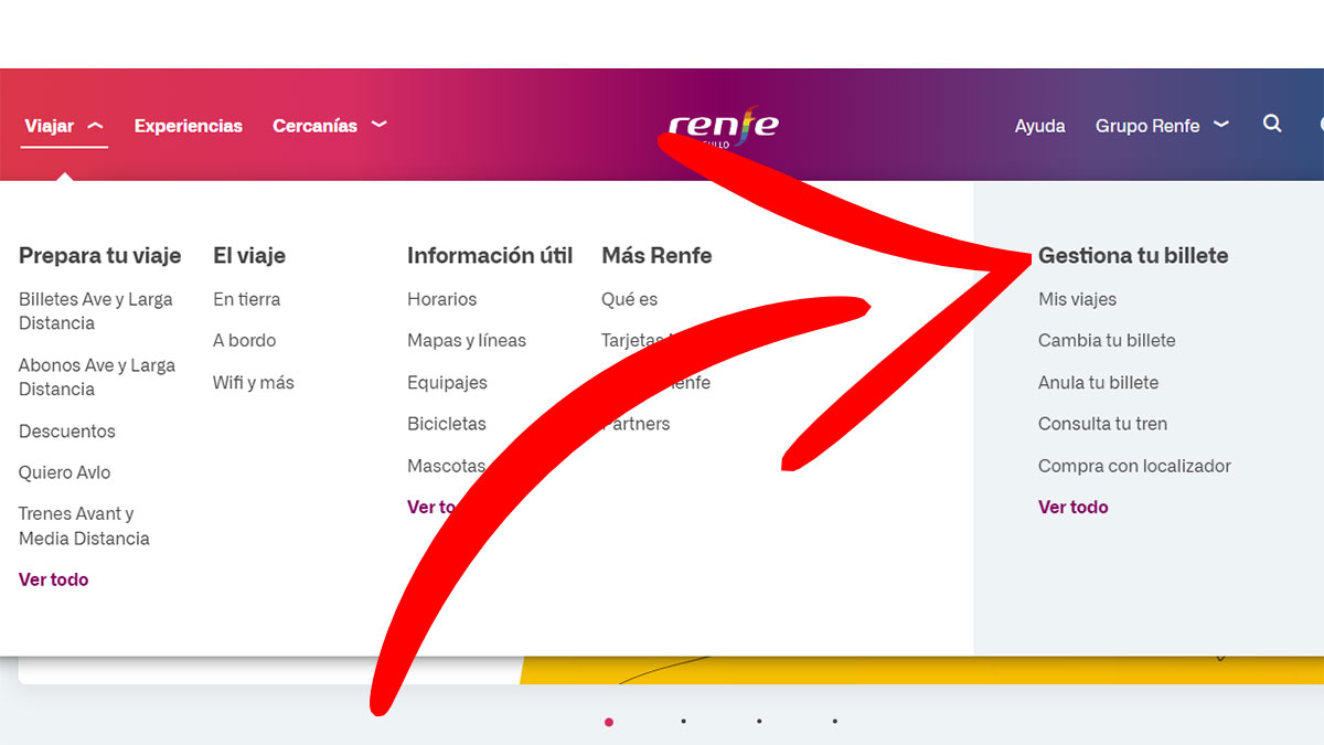 Pestaña Gestiona tu billete