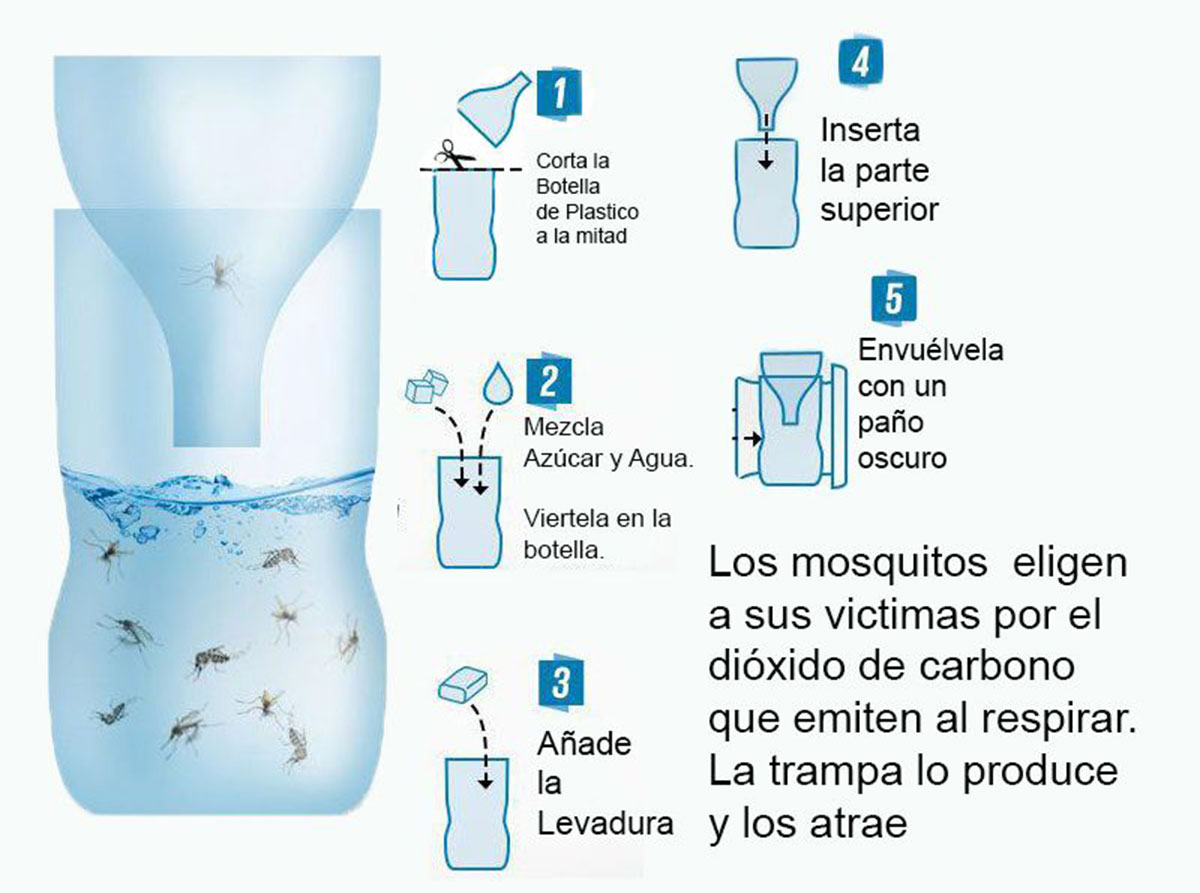Pasos para hacer la botella para atrapar mosquitos