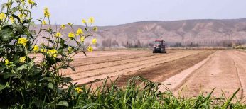 La despoblación rural podría desabastecer los supermercados de alimentos