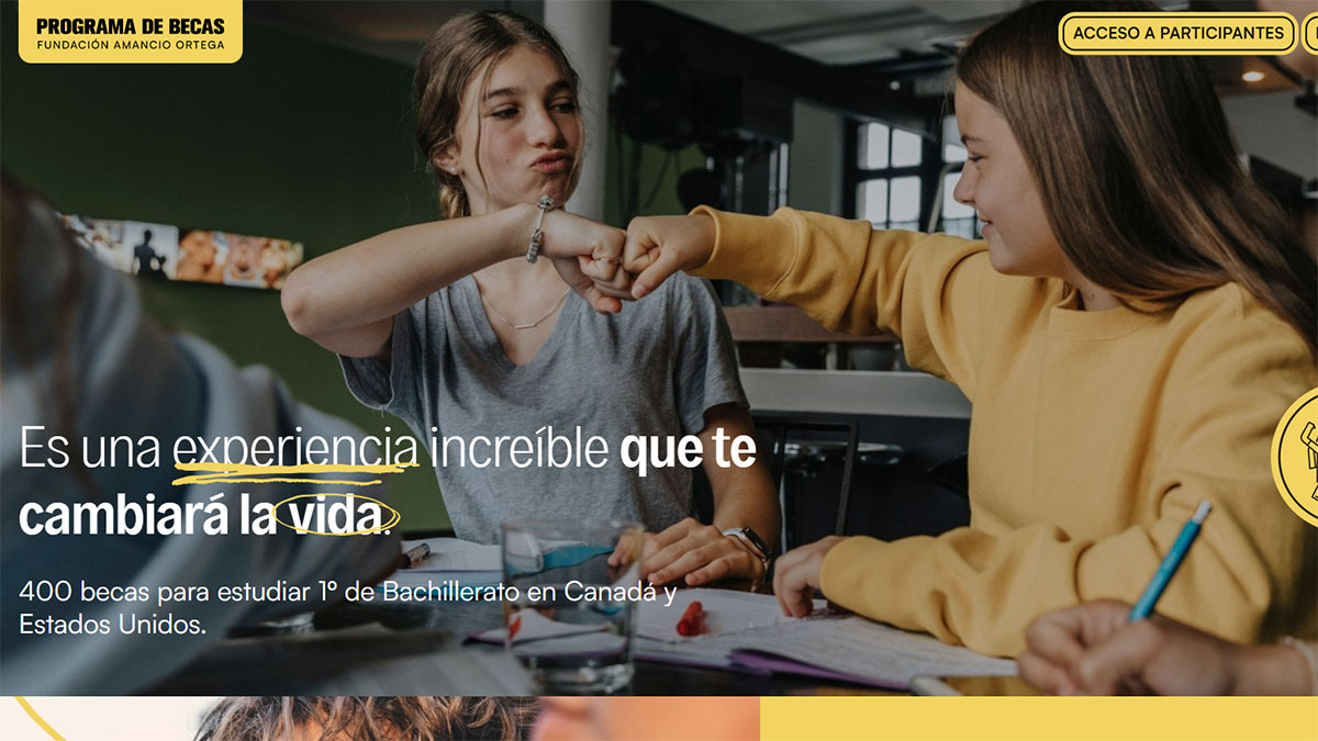 Web oficial becas Amancio Ortega