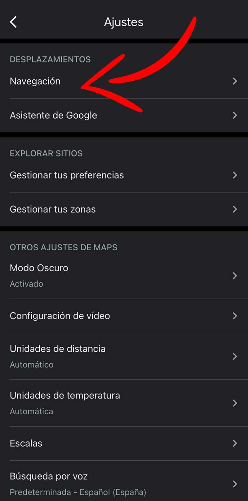 Ajustes de Google Maps.