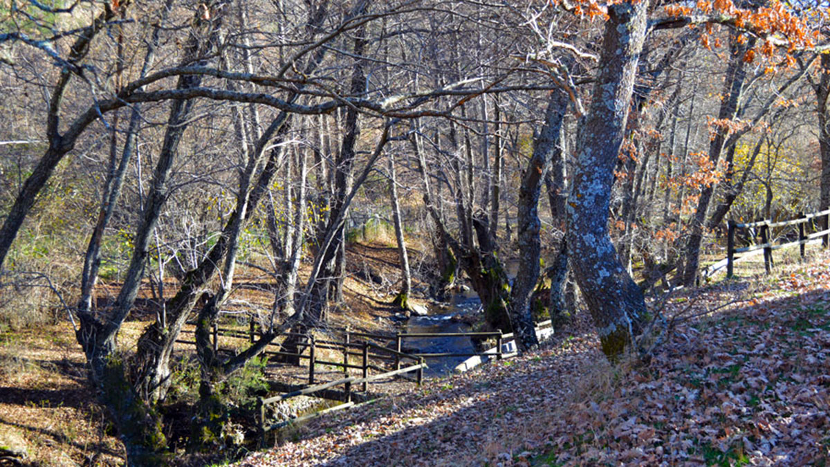 Paisaje Puebla de la Sierra otoño