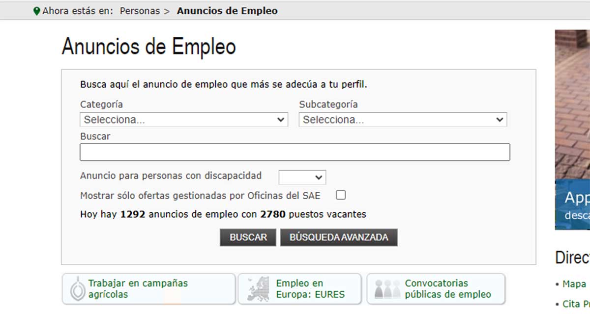 Buscador de empleo