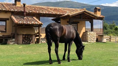 Los mejores sitios para hacer turismo rural con niños en granjas