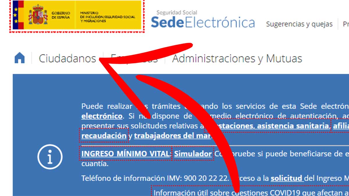 Ciudadanos Seguridad Social