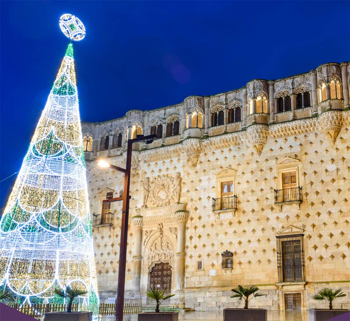 Encendido de las luces de Navidad