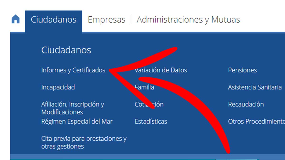 Informes y certificados