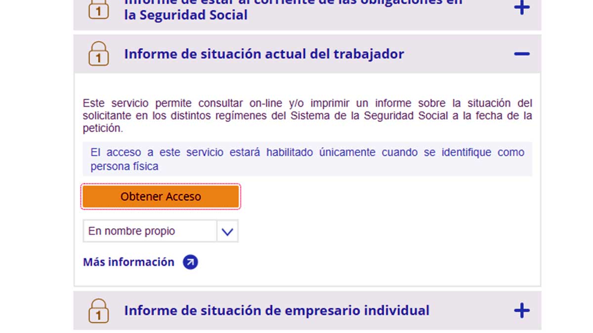Obtener acceso al informe