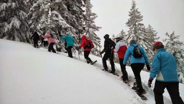 Las mejores rutas con raquetas en la nieve de España