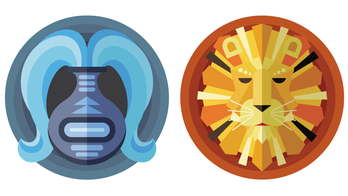 Compatibilidad de Acuario y Leo