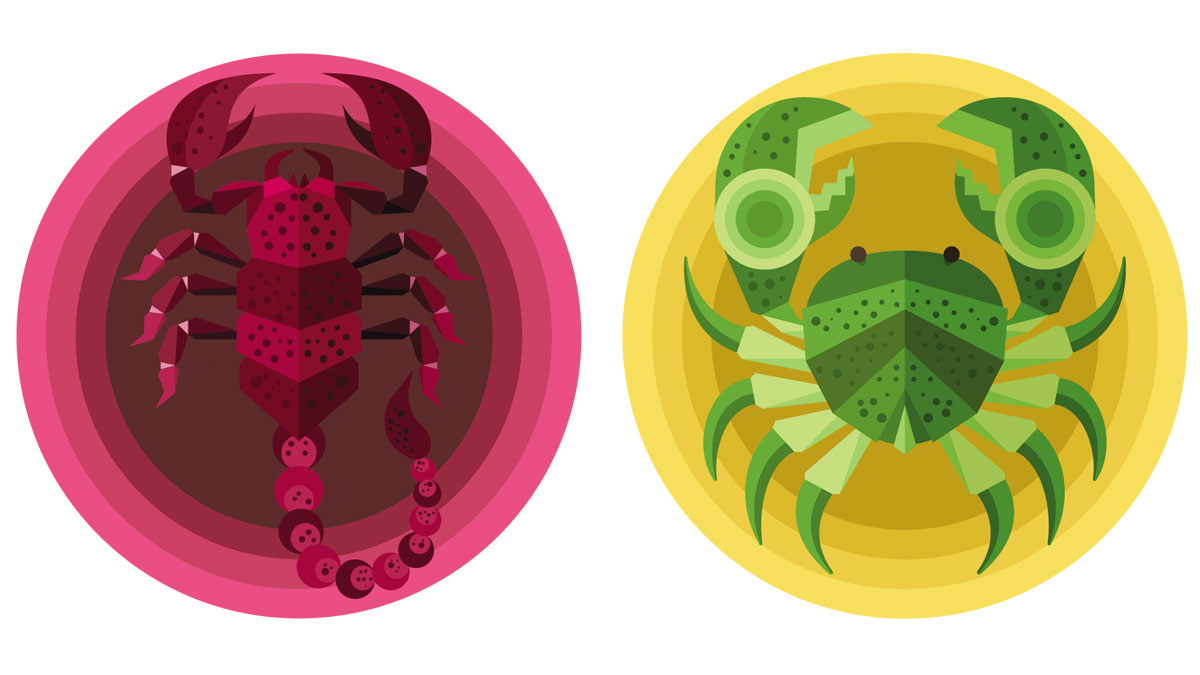 Compatibilidad de Escorpio y Cáncer