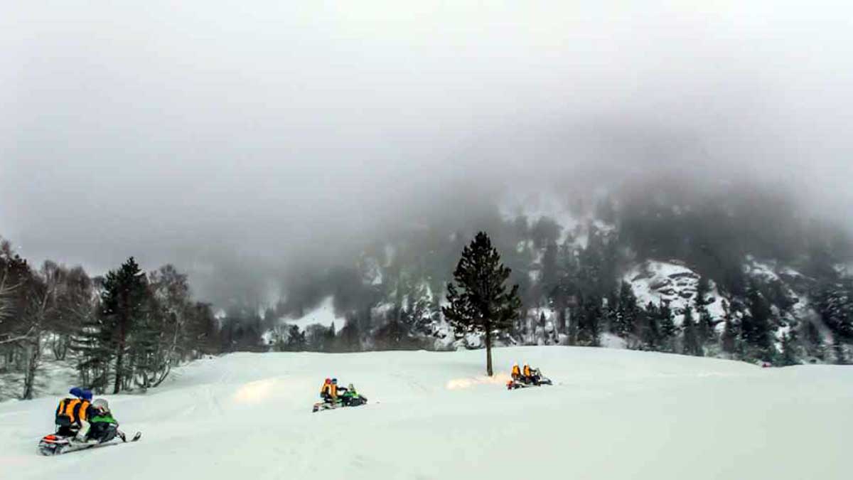 Ruta de día con niebla