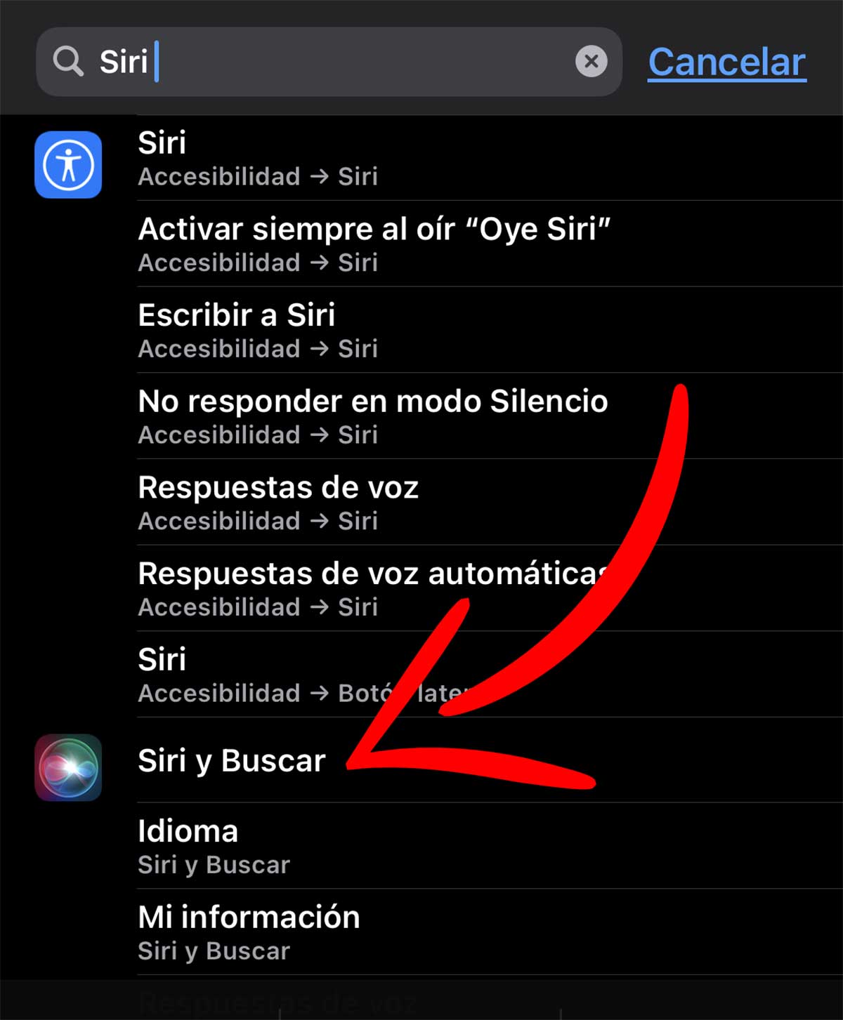 Siri y Buscar