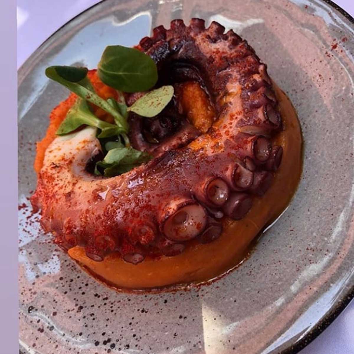 Coulant de pulpo