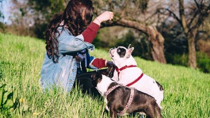 Los aspectos a tener en cuenta para elegir al mejor cuidador para tu perro