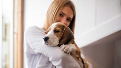 Así es el nuevo curso obligatorio que hay que hacer para tener un perro