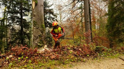 Cómo inscribirse a las ofertas de empleo de agente forestal de GEACAM