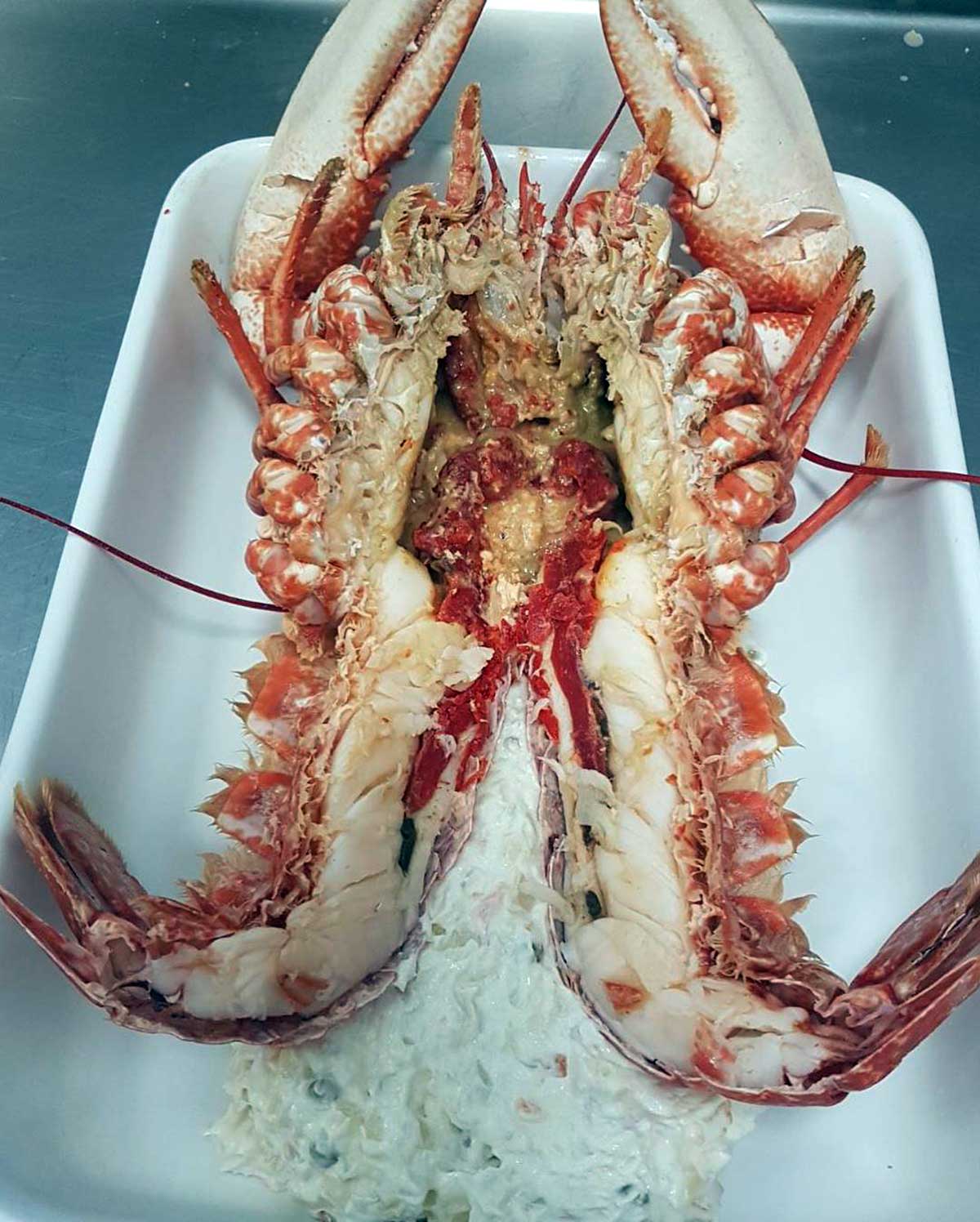 Pieza de marisco entera