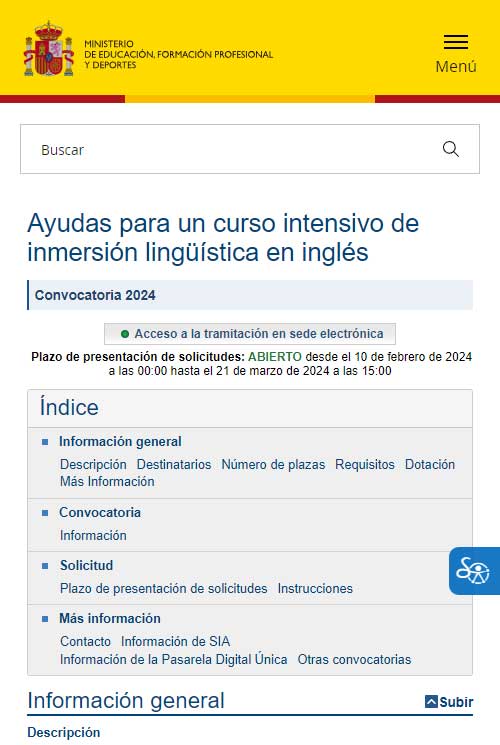 Ayudas curso inglés