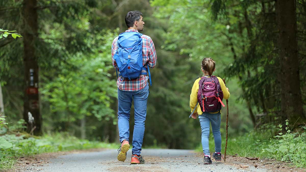 Las mejores rutas fáciles de senderismo para hacer con niños en la Sierra de Madrid