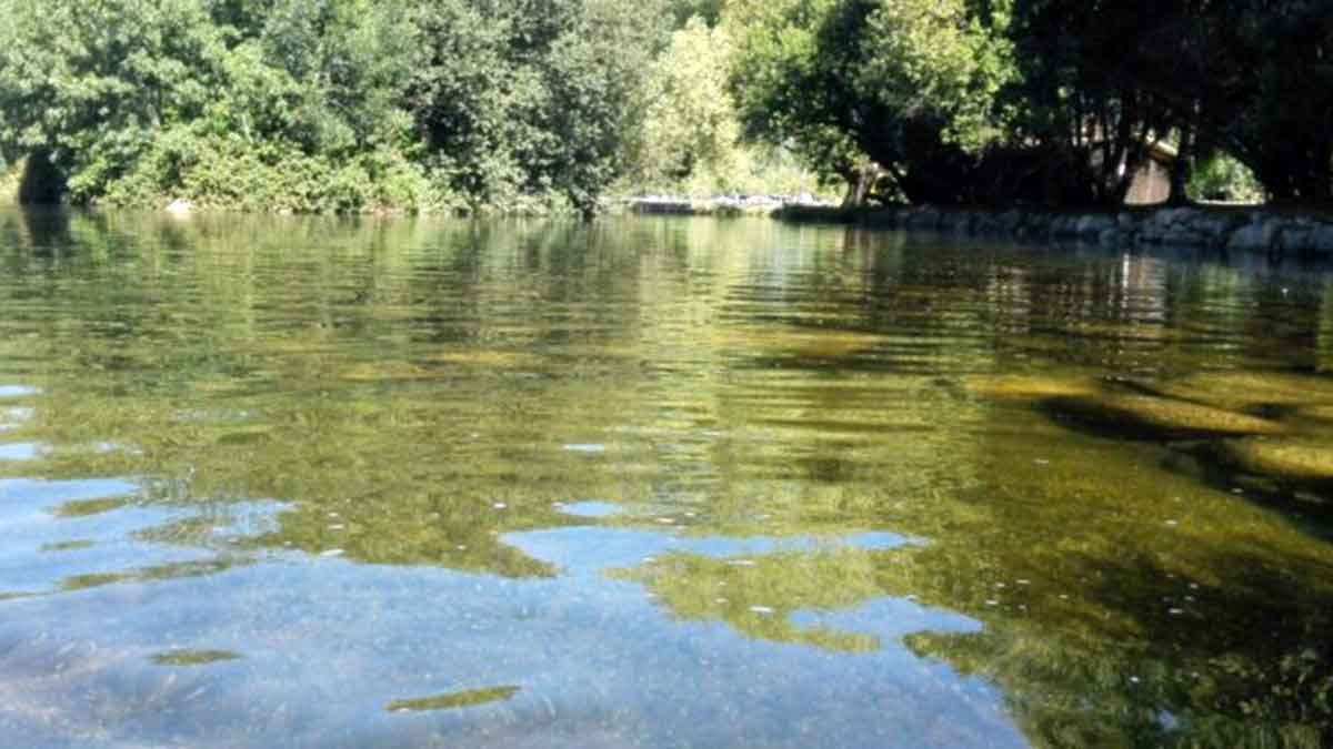 Baño en zona natural de Madrid