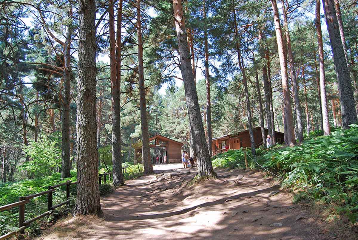 Vegetación Las Berceas