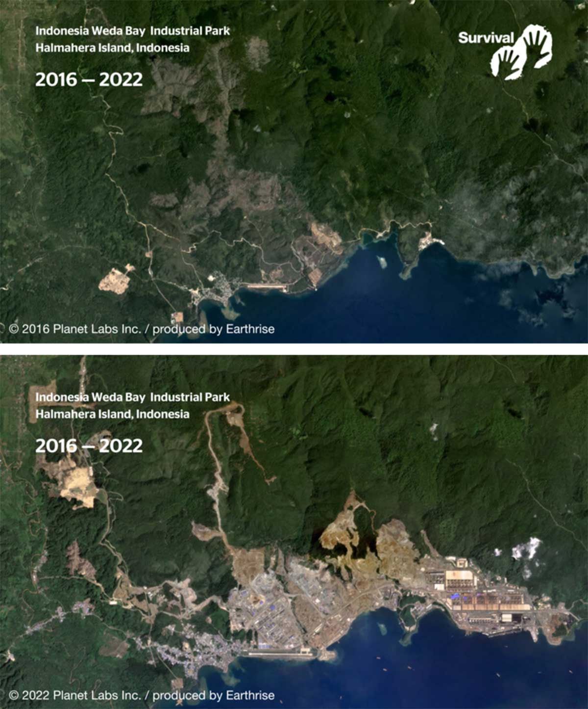Cambio del poblado indígena en Indonesia