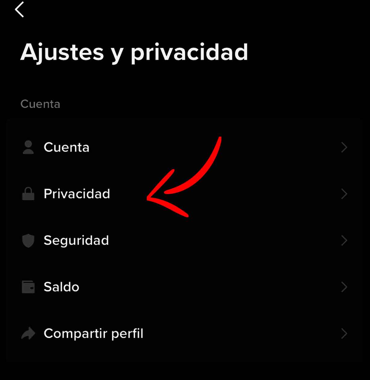 Ajustes y privacidad de TikTok.